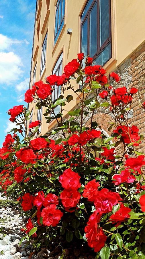 Hotel La Cartiera ヴィニョーラ エクステリア 写真